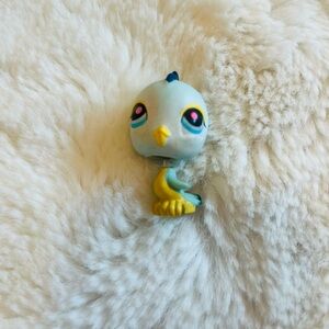 Blue Bird Pet